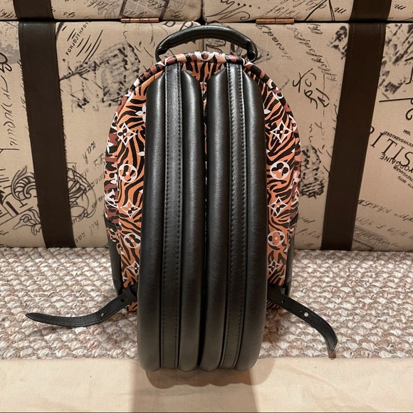 Louis Vuitton Jungle Palm Springs PM Backpack - Picture 2 of 16
